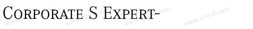 Corporate S Expert字体转换